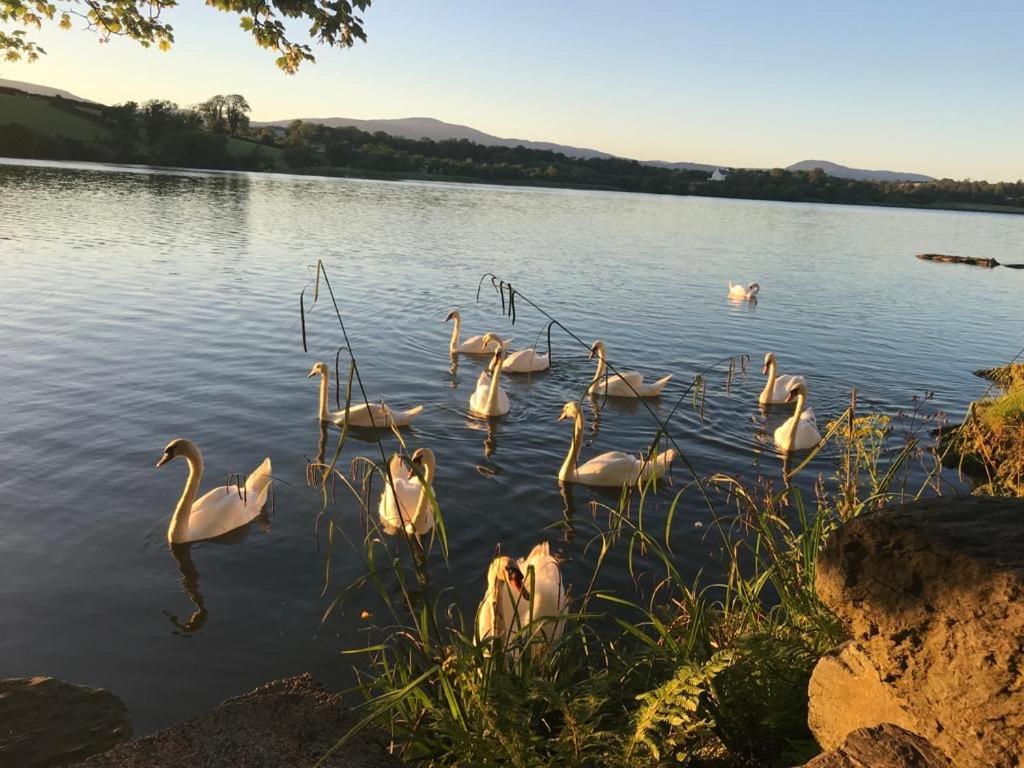 Lakeside Lookout Bantry 科克 外观 照片