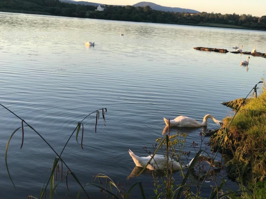 Lakeside Lookout Bantry 科克 外观 照片