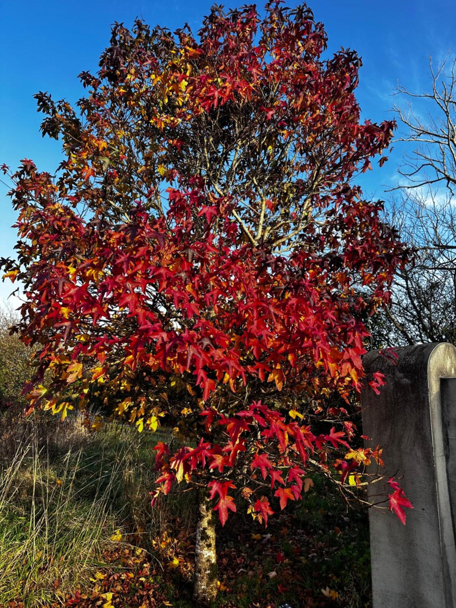 Lakeside Lookout Bantry 科克 外观 照片